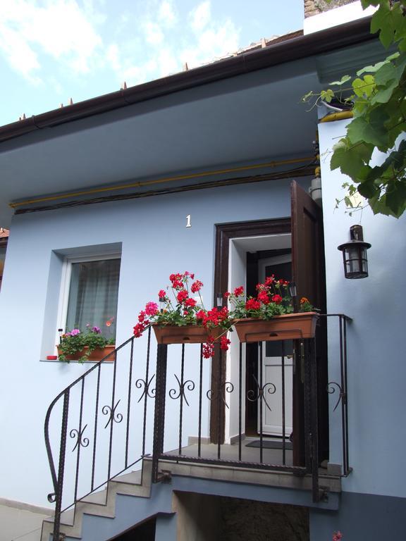 Отель Blue House Брашов Экстерьер фото